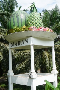 The welcome sign into Maran- welcome signs across Malaysia seemed to include over-sized fruit bowls. 
