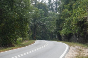 Really beautiful downhill cycling through the jungles of central Malaysia. 